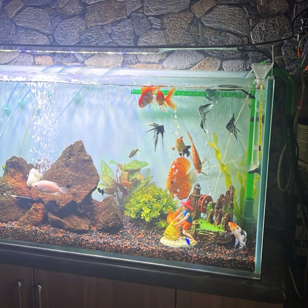 Debasis Das's tank